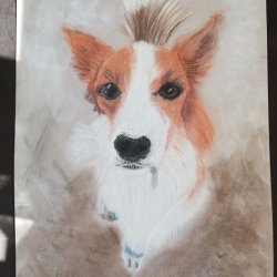 pastel sucha_ beata furtak